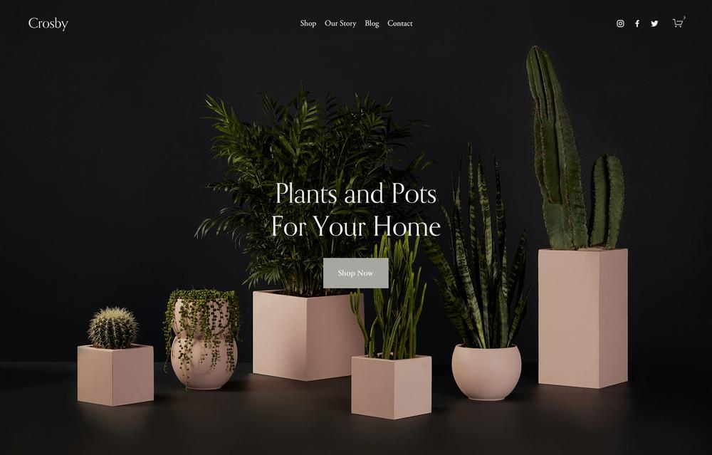 slider image